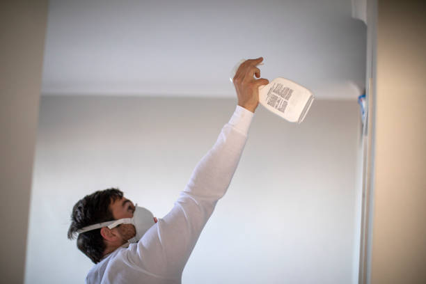 Best Mold Remediation  in Genoa, IL