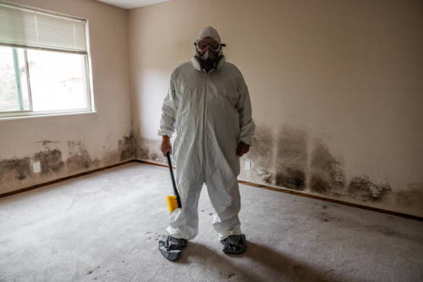 Best Crawl Space Mold Removal  in Genoa, IL